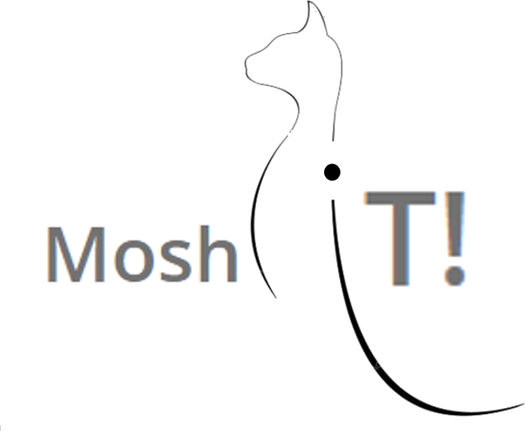 Moshit